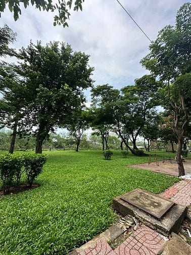 Đất biệt thự vị trí đẹp view Sông đối diện Phú Mỹ Hưng 140m2 