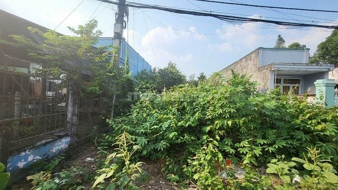 Cần gửi bán 314m2 có thổ cư, Tân Thông Hội , Giá 870tr – Cách QL22 200