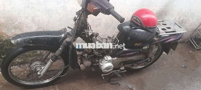 Angel Hi 80cc