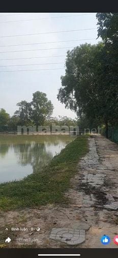 cho thuê lâu dài đất có sẳn ao tiện chăn nuôi kinh doanh dv 10.000m2