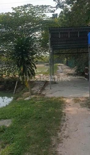 cho thuê lâu dài đất có sẳn ao tiện chăn nuôi kinh doanh dv 10.000m2