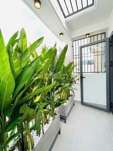 CÔ LINH ĐI NƯỚC NGOÀI BÁN GẤP NHÀ ĐÀO DUY ANH P9 PHÚ NHUẬN GIÁ 2.8 TỶ.