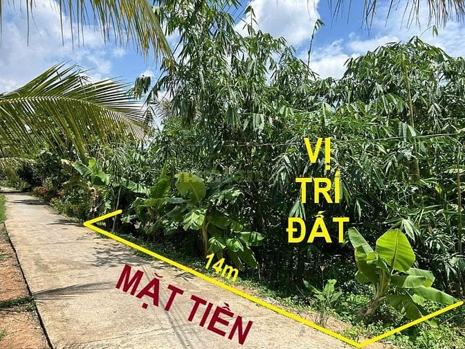 Bán đất thổ 462m2, sát QL.62,SHR, đường ô tô, Thạnh Hóa, Long An