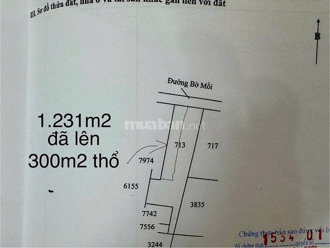 CHÍNH CHỦ CẦN BÁN NHÀ - ĐẤT ĐỂ ĐI ĐỊNH CƯ NƯỚC NGOÀI TẠI XÃ TÂN LÂN - 
