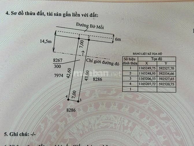 CHÍNH CHỦ CẦN BÁN NHÀ - ĐẤT ĐỂ ĐI ĐỊNH CƯ NƯỚC NGOÀI TẠI XÃ TÂN LÂN - 