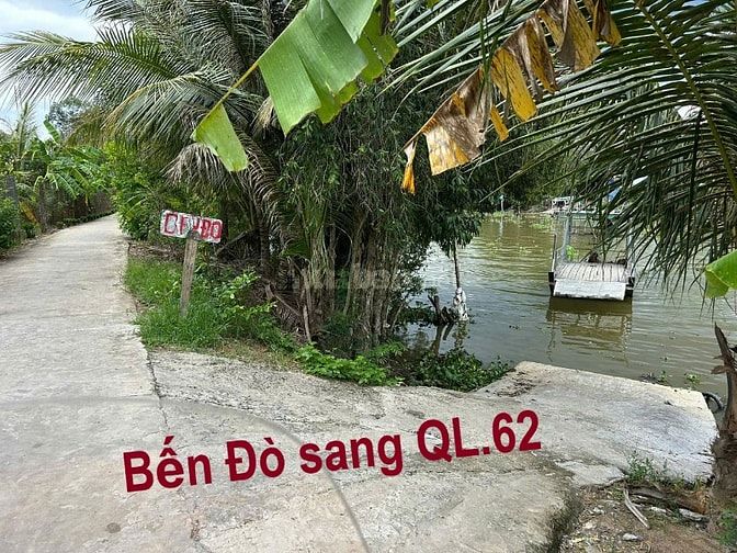 Bán đất thổ 462m2, sát QL.62,SHR, đường ô tô, Thạnh Hóa, Long An