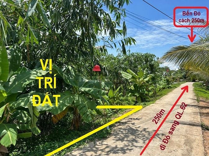 Bán đất thổ 462m2, sát QL.62,SHR, đường ô tô, Thạnh Hóa, Long An