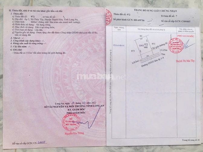 Bán đất thổ 462m2, sát QL.62,SHR, đường ô tô, Thạnh Hóa, Long An