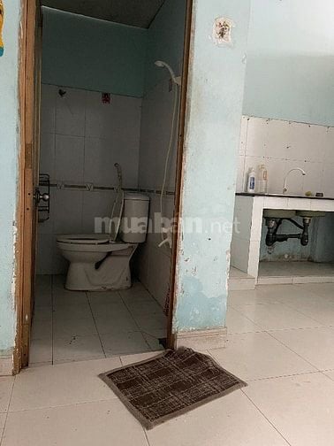 Nhà cho thuê nguyên căn P17, Gò Vấp 