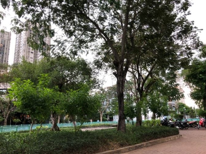 Bán Nhà Himlam 100m2 Sổ Hồng Giá 27 Tỷ Thương Lượng