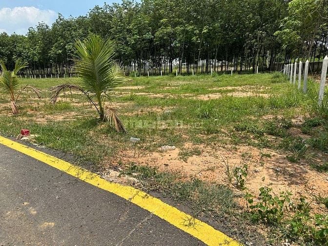 🌿 LÔ GÓC 2 MẶT TIỀN – VỊ TRÍ ĐẮC ĐỊA ĐỂ XÂY BIỆT THỰ NGHỈ DƯỠNG GIÁ 9