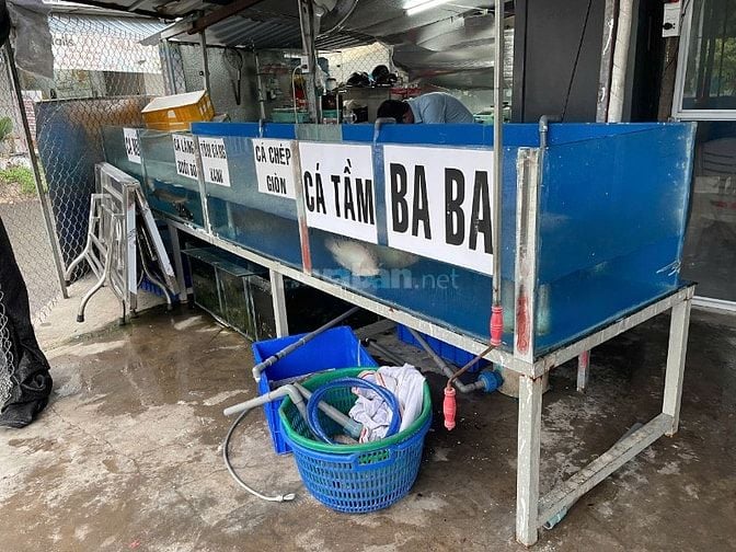 sang lại vựa hải sản cho ace tâm huyểt.