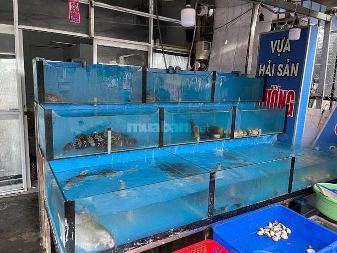 sang lại vựa hải sản cho ace tâm huyểt.