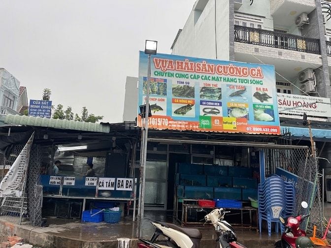 sang lại vựa hải sản cho ace tâm huyểt.