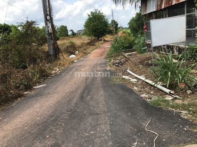 Đất nông nghiệp cây lâu năm sầu riêng