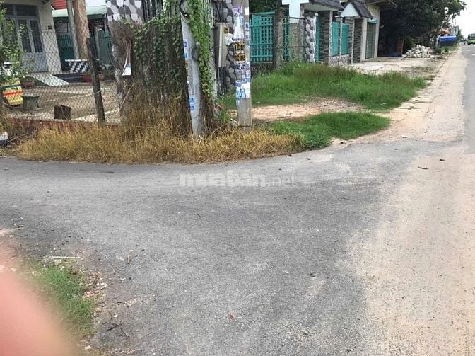 Đất nông nghiệp cây lâu năm sầu riêng