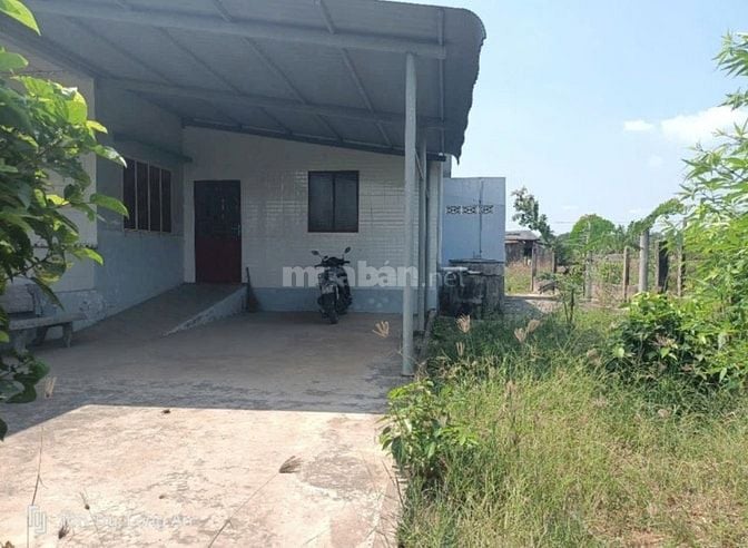 🔥Nhà có 518m2 Xã Bình Lãng , Tân Trụ