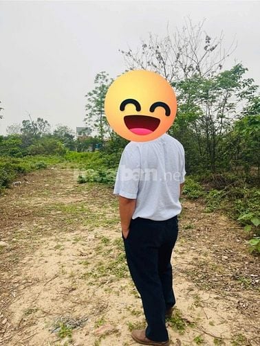 Bán đất Thường Tín, đường ô tô MT15m, DT nhỉnh 690m2, 8 triệu/m2