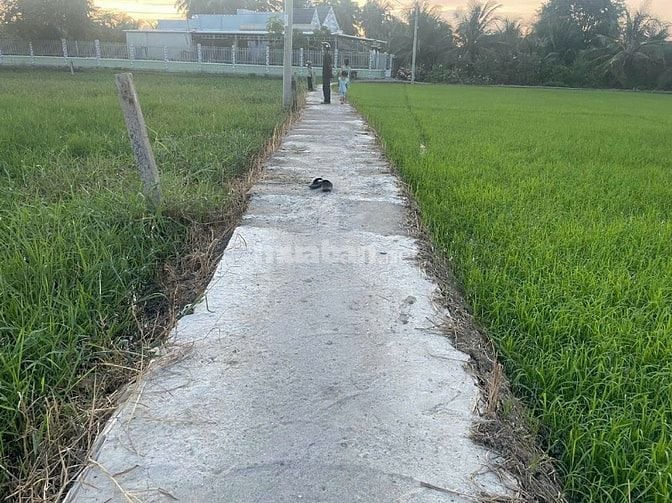 chính chù mình cần bán mảnh đất vườn ấp Bình Khánh, xã  Bình Phú, GCT