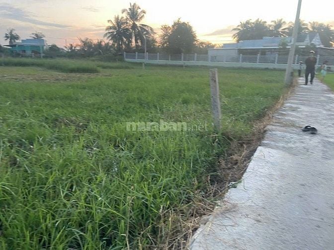 chính chù mình cần bán mảnh đất vườn ấp Bình Khánh, xã  Bình Phú, GCT
