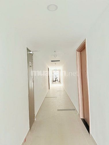 Cho thuê các căn hộ thuộc DA Citi Alto mới 100% đang hoàn thiện NT