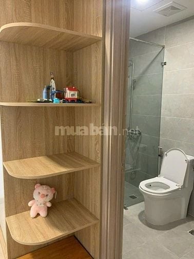 Cho thuê các căn hộ thuộc DA Citi Alto mới 100% đang hoàn thiện NT