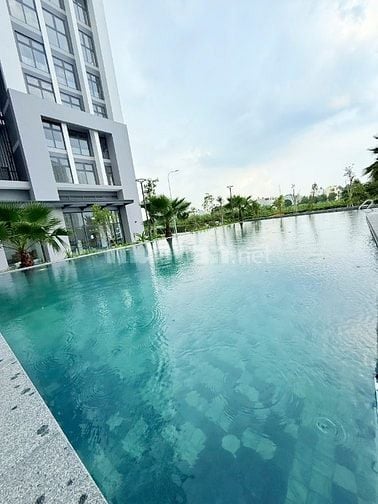 Cho thuê các căn hộ thuộc DA Citi Alto mới 100% đang hoàn thiện NT