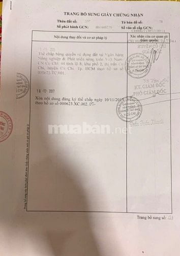 Chính chủ bán đất có nhà cấp 4, 131 Bùi Thị Điệt, Phạm Văn Cội, Củ Chi