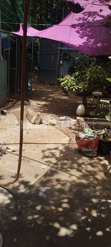 Cần bán gấp căn nhà giấy tờ tay, nhà gần trường dh, bệnh viện và chợ 