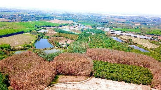 1600m2 mt hơn 80m Phú Ngọc đường ô tô giá 790tr