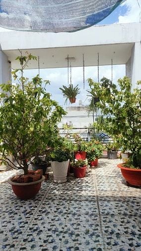 Chính chủ bán nhà mặt tiền Bình Tân, 3 tầng, pháp lý đầy đủ, giá mềm