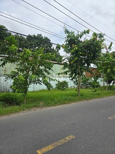 Bán đất Củ Chi, mặt tiền đường, 600m2, 4,6 tỷ