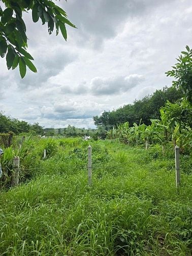 Bán đất Củ Chi, mặt tiền đường, 600m2, 4,6 tỷ