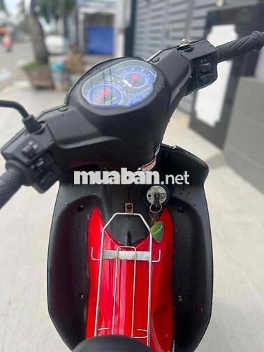 sirut xin cực chắt