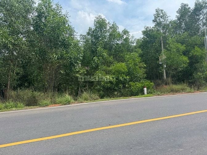 🏡 BÁN ĐẤT MẶT TIỀN ĐƯỜNG 768 – VĨNH AN, VĨNH CỬU 