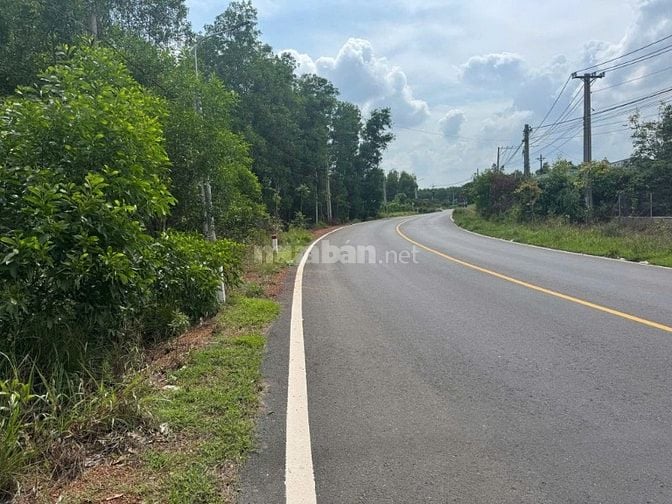 🏡 BÁN ĐẤT MẶT TIỀN ĐƯỜNG 768 – VĨNH AN, VĨNH CỬU 