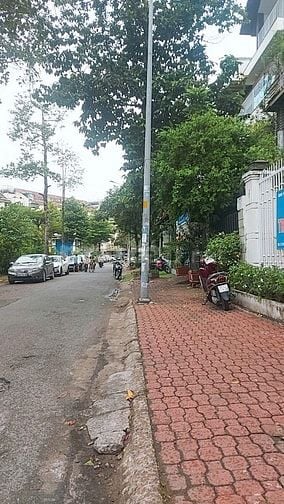  🚀 BIỆT THỰ NAM LONG - TRẦN TRỌNG CUNG QUẬN 7, 29,5 TỶ