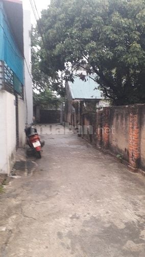 Chính chủ bán đất kèm nhà cấp 4 Mai Xá Thắng Lợi Thường Tín