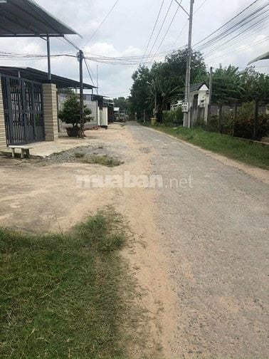 Cần bán gấp đất thổ cư Tây Ninh