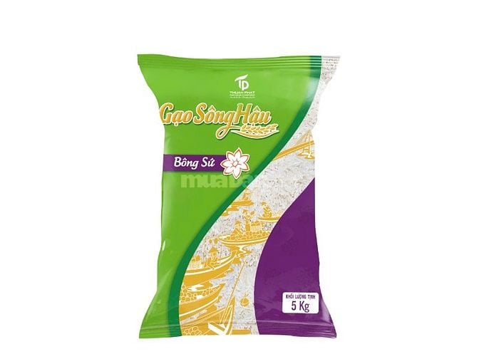 Cung cấp, sản xuất bao bì PP dệt và bao bì PA/PE.
