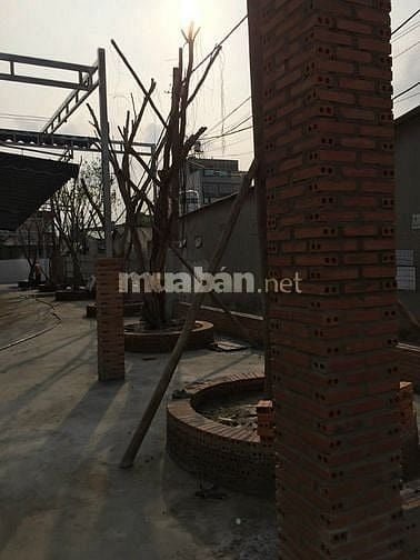 Cho thuê mặt bằng 350m2 mặt tiền Tô Ký, Hóc Môn, khu dân cư sầm uất