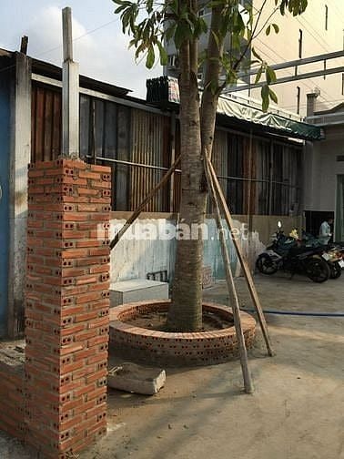 Cho thuê mặt bằng 350m2 mặt tiền Tô Ký, Hóc Môn, khu dân cư sầm uất