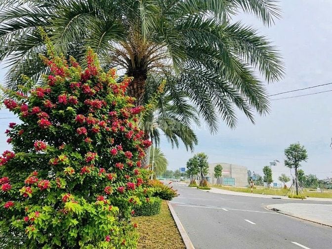 Giảm 300triệu! đất nền 100m2 cách sân bay Long Thành 5KM giá 1ty1 cósổ