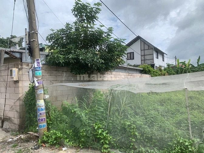 Cách 30m MT Bùi thị Lùng, full thổ, hướng Nam, kế chợ Hóc Môn, rất đẹp