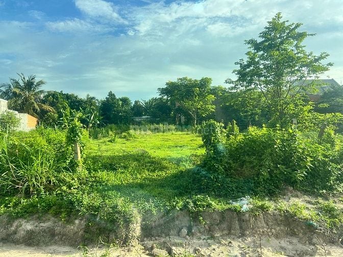 CC cần bán đất NT Châu Văn Liêm, TT Hậu Nghĩa gần VINHOMS 
