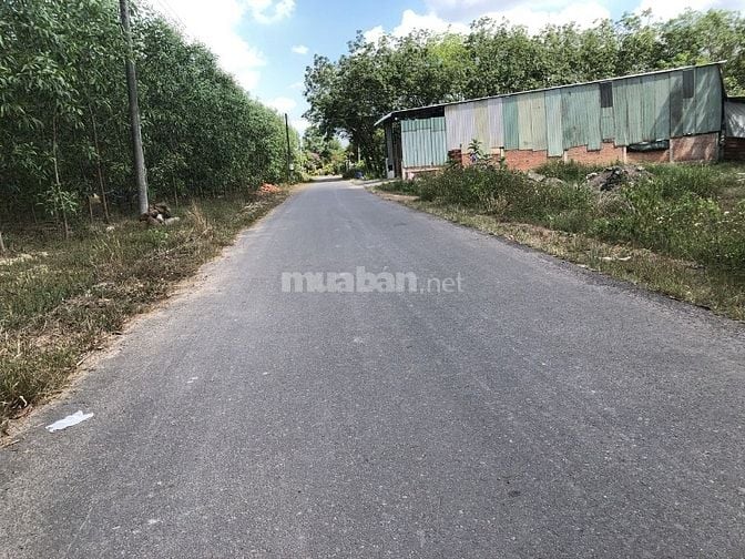 🔥 Đất ở chỉ 9,56 triệu/m² – Ngay mặt tiền nhựa, An Viễn, Trảng Bom 🔥