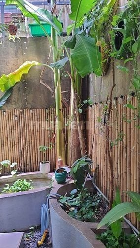 Cho thuê mặt bằng quán cafe 200m2 Đặng Thùy Trâm, Bình Thạnh