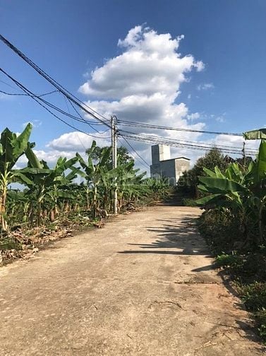 CHỈ TỪ 850 TRIỆU ĐÃ SỞ HỮU NGAY ĐẤT VƯỜN 1600m² GẦN NGÃ TƯ DẦU GIÂY