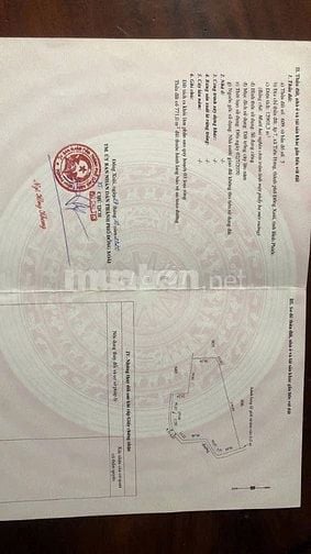 Nhà Đất Tiến Hưng Đồng Xoài Bình Phước
