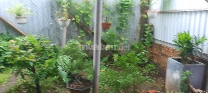CHÍNH CHỦ NHÀ RỘNG180M2, MÁT MẺ, THOÁNG,  GẦN CHỢ LÒ LU – VÕ VĂN HAT,